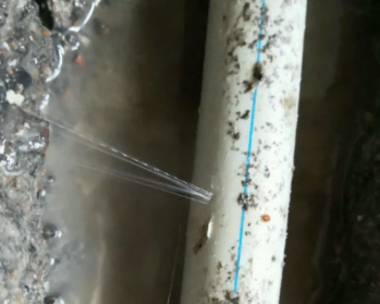 凤泉卫生间测漏水多少钱
